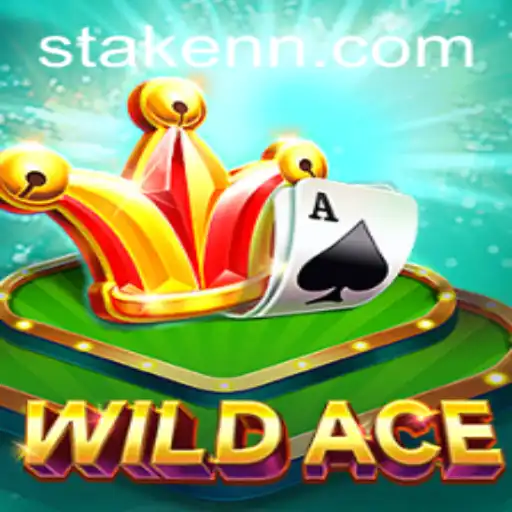 Exploring WildAce: A Thrilling New Frontier in Online Gaming